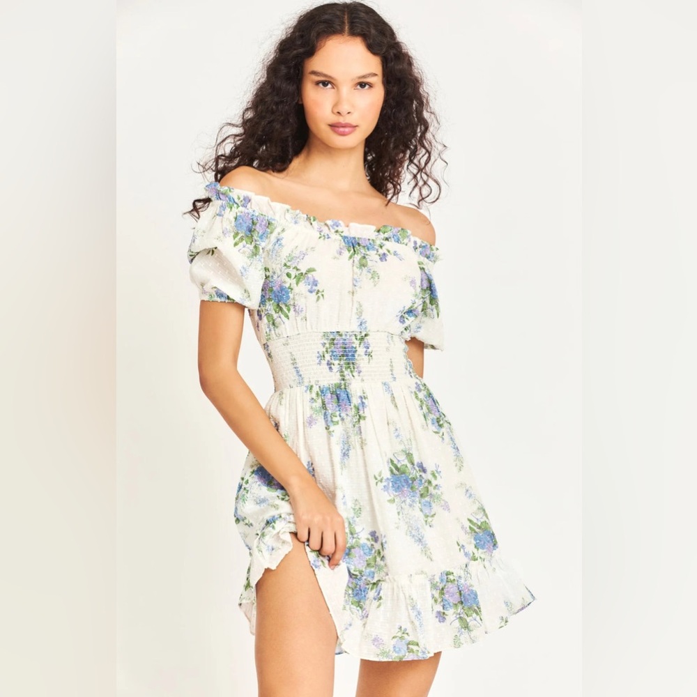 New LoveShackFancy Blue Floral Lai Mini Dress | M